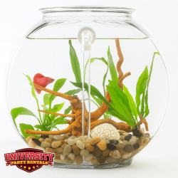 Make Your Own Fish Tank