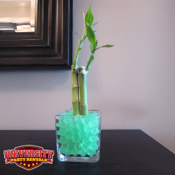 DIY Bamboo Scapes