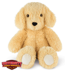 Photos20for20UPR20Website2033 1760386288 Stuff Your Own Animal